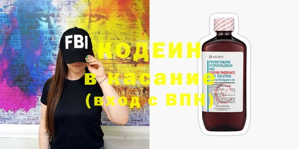 индика Краснослободск