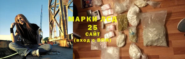 индика Краснослободск