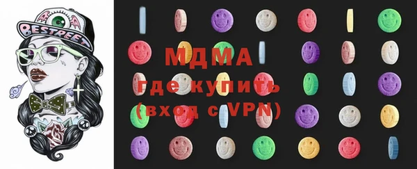 индика Краснослободск