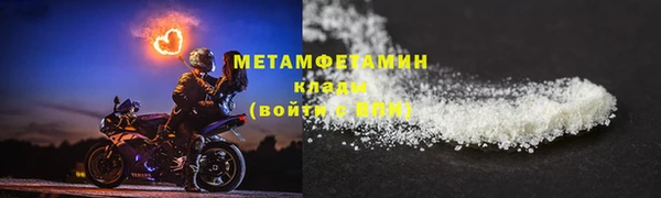 индика Краснослободск