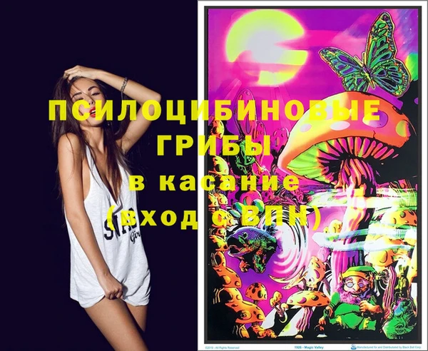индика Краснослободск