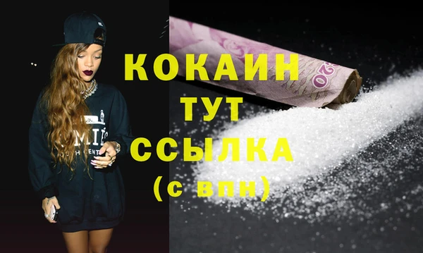 индика Краснослободск