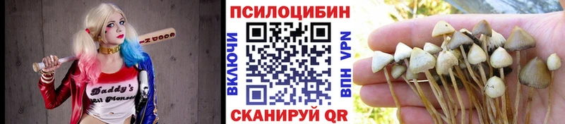 Галлюциногенные грибы мицелий  Купить где  Зеленодольск 